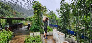 고동옥님의 기타작물 · 영농일지 작성글 사진