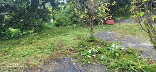 박종화님의 기타작물 · 영농일지 작성글 사진