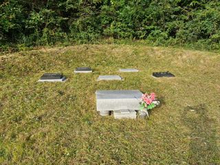 성은모님의 복숭아 · 영농일지 작성글 사진