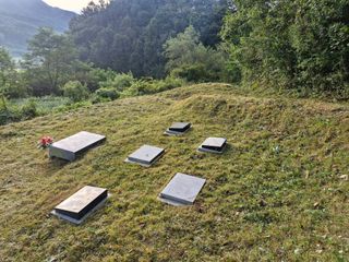 성은모님의 복숭아 · 영농일지 작성글 사진