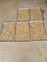 팜모닝 기타작물·영농일지 게시글 이미지