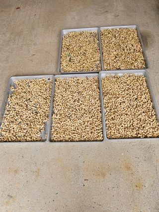 연승흠님의 기타작물 · 영농일지 작성글 사진