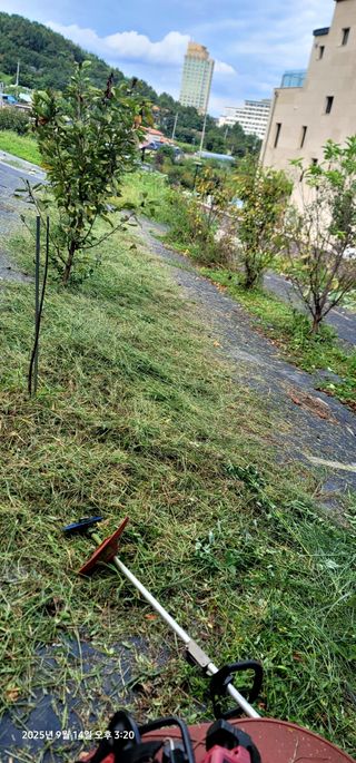 박종화님의 기타작물 · 영농일지 작성글 사진