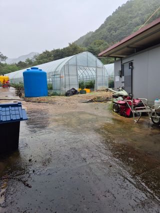 왕자농원님의 고추 · 영농일지 작성글 사진