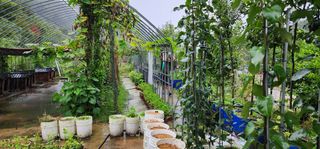 고동옥님의 기타작물 · 영농일지 작성글 사진