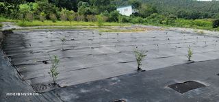 박종화님의 기타작물 · 영농일지 작성글 사진