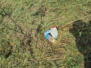 엉뚱님의 기타작물 · 영농일지 작성글 사진