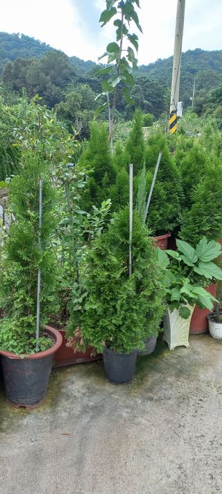 정석채님의 기타작물 · 영농일지 작성글 사진