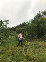 팜모닝 감·영농일지 게시글 이미지