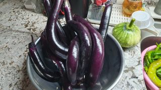 서동욱님의 기타작물 · 영농일지 작성글 사진