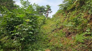 염봉섭님의 기타작물 · 영농일지 작성글 사진