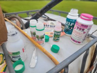 이태창님의 배추 · 영농일지 작성글 사진