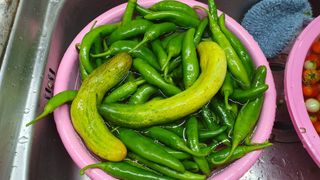 서동욱님의 기타작물 · 영농일지 작성글 사진