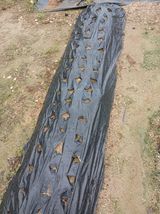 팜모닝 파·영농일지 게시글 이미지