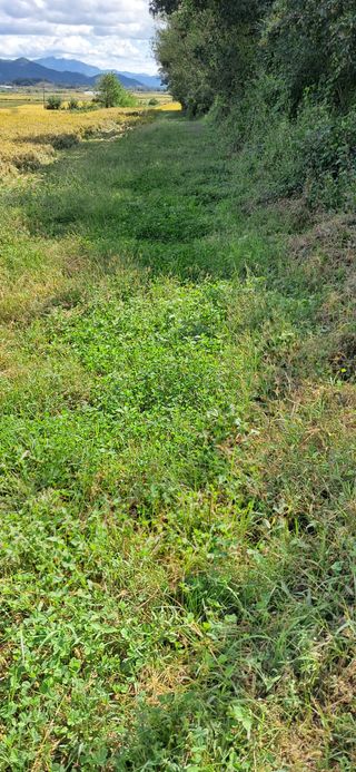 이복길님의 벼 · 영농일지 작성글 사진