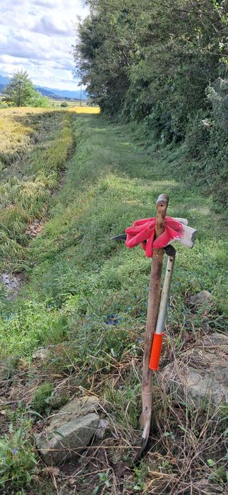 이복길님의 벼 · 영농일지 작성글 사진