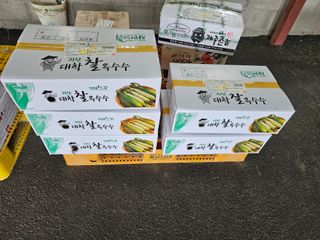 경달현님의 옥수수 · 영농일지 작성글 사진