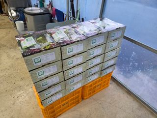 이만근님의 포도 · 영농일지 작성글 사진