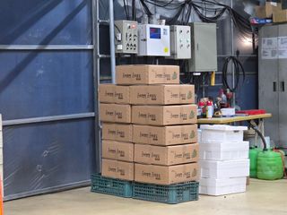 이만근님의 포도 · 영농일지 작성글 사진