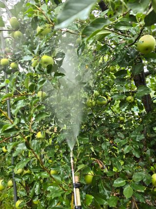 최동구님의 사과 · 영농일지 작성글 사진