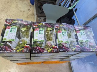 이만근님의 포도 · 영농일지 작성글 사진