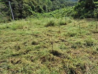 엉뚱님의 기타작물 · 영농일지 작성글 사진