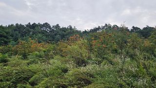 염봉섭님의 기타작물 · 영농일지 작성글 사진