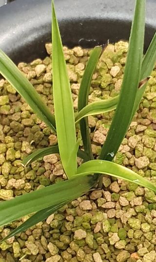 문봉갑님의 기타작물 · 영농일지 작성글 사진