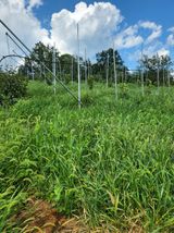 팜모닝 감·영농일지 게시글 이미지