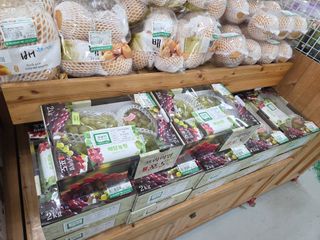 이만근님의 포도 · 영농일지 작성글 사진