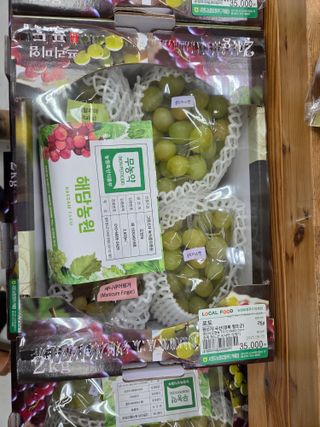 이만근님의 포도 · 영농일지 작성글 사진