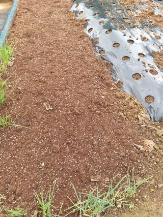 김선두님의 기타작물 · 영농일지 작성글 사진