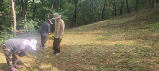 정응화님의 기타작물 · 영농일지 작성글 사진