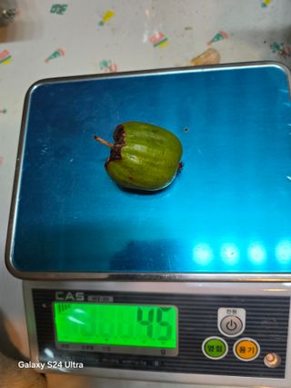 김종협님의 기타작물 · 영농일지 작성글 사진