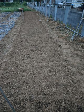 뚜벅이님의 기타작물 · 영농일지 작성글 사진