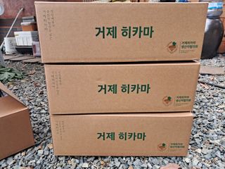 윤형곤님의 감자 · 영농일지 작성글 사진