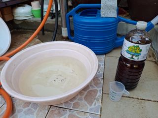 헤이쥬회원님의 마늘 · 영농일지 작성글 사진