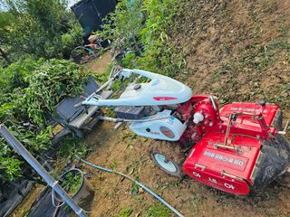 연모 자연의행복님의 기타작물 · 영농일지 작성글 사진