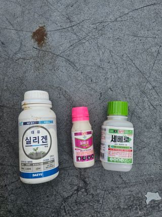 이명희님의 기타작물 · 영농일지 작성글 사진