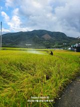 팜모닝 벼·영농일지 게시글 이미지