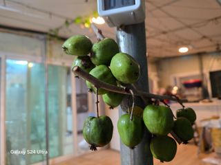 김종협님의 기타작물 · 영농일지 작성글 사진