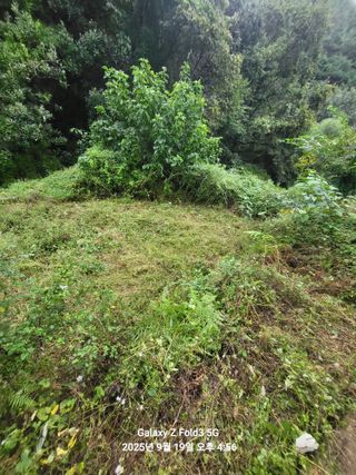 정승준님의 벼 · 영농일지 작성글 사진