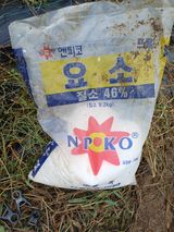 팜모닝 배추·영농일지 게시글 이미지