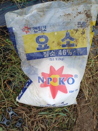 김진현님의 배추 · 영농일지 작성글 사진