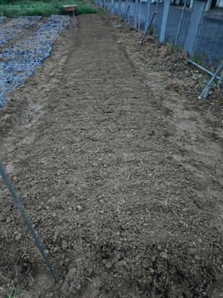 뚜벅이님의 기타작물 · 영농일지 작성글 사진