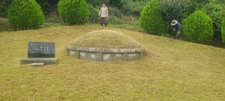 정응화님의 기타작물 · 영농일지 작성글 사진