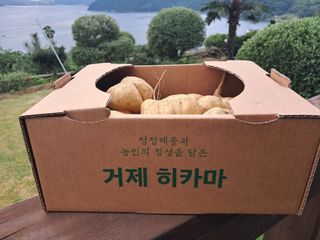 윤형곤님의 감자 · 영농일지 작성글 사진