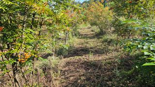 염봉섭님의 기타작물 · 영농일지 작성글 사진