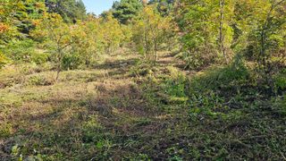 염봉섭님의 기타작물 · 영농일지 작성글 사진