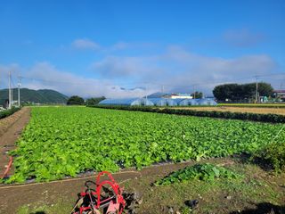 이태창님의 기타작물 · 영농일지 작성글 사진